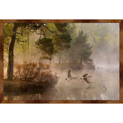 " Goose Fight "