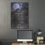 " Ebony " by Graeme Stevenson-1148043047