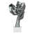 Silver is out of stock selected