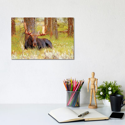 Resting 1 Piece Wrapped Canvas Wall Art