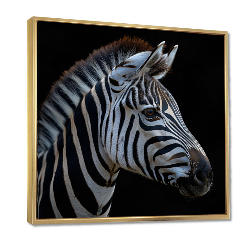Black And White Zebra Photo - Zebra Animal Wall Art, Gold Floater Framed Canvas, 36" H x 36" W x 1.5" D