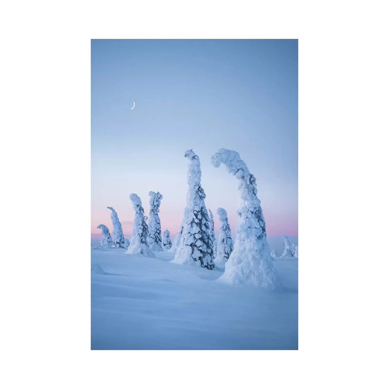 Frozen Dream by Steffen Fossbakk - Wrapped Canvas Print, 20.32 cm H x 30.48 cm W
