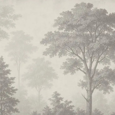 Bois brumeux monochrome