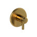 Brushed Gold