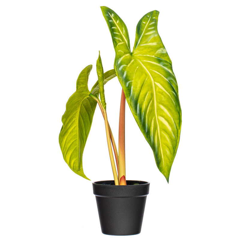 Alocasia Frydek plante artificielle en pot 17 po x 12 po Primrue