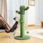 Grattoir 34 "Connard Cactus-298277254-317513941
