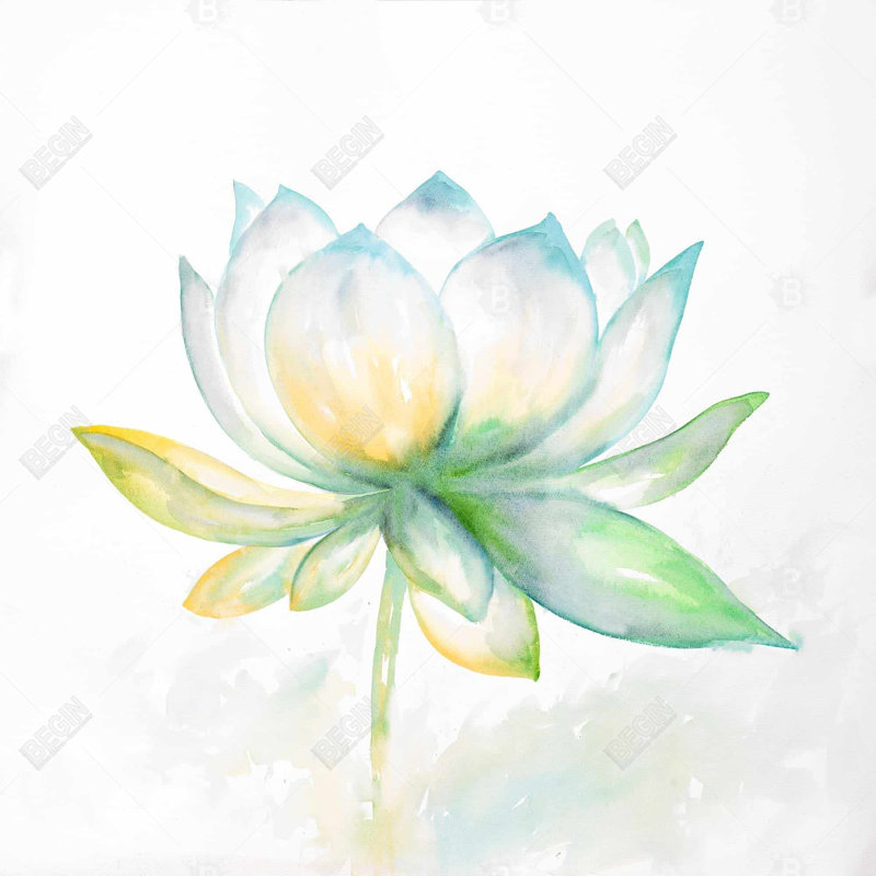 " Lotus Flower "