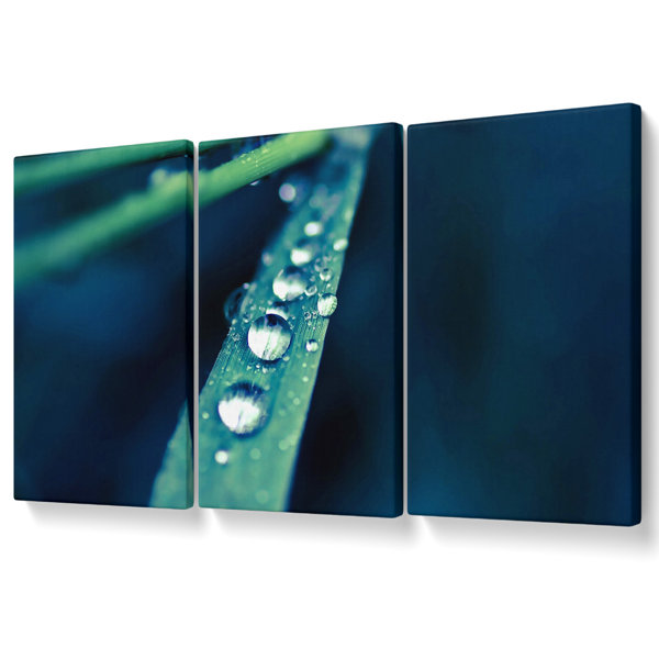 Ebern Designs Grass Dew Macro - 3 Piece Wrapped Canvas Print | Wayfair ...