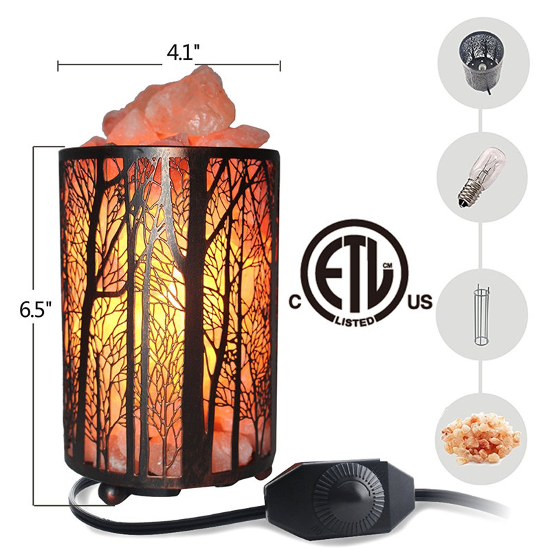 Kishan 4 Lb. Salt Lamp