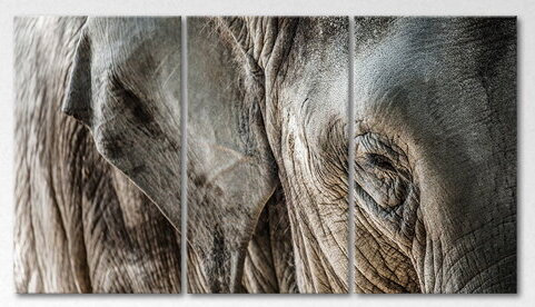 3 Piece Wall Art on Canvas