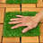 VCP9 12'' L x 12'' W Solid Wood Interlocking Deck Tile in Yellow