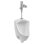 Pintbrook 0.125 Gallons GPF Ceramic Top Spud Urinal