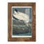 Waverley Pl 216, impression encadrée sur papier-1234225158-1234225166