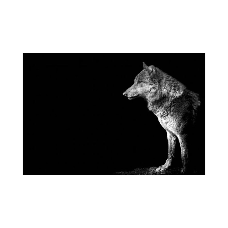 Wolf I 1 Piece Wrapped Canvas Painting