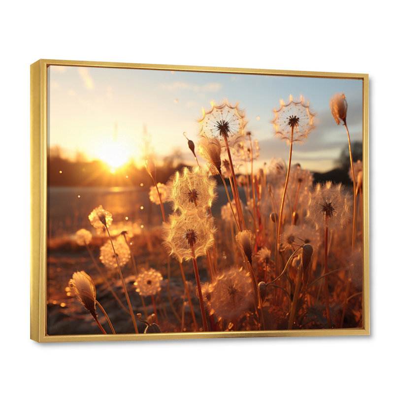 Coucher de soleil pissenlit champ II - art mural floral salon, H 24 po x l 32 po x P 1 po, Cadre flottant doré