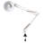 Hudspeth 36" LED Desk Lamp with Clamp Base-193694472