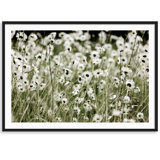 Wild Flowers Print by Carly Tabak