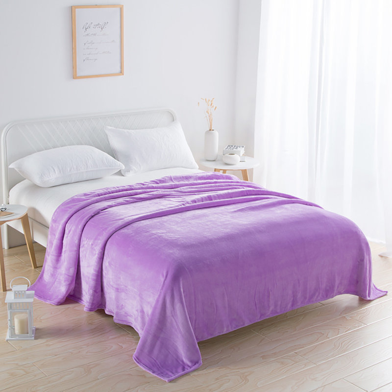 Douces couvertures en flanelle de microfibre pour canapé-lit, chaudes pour toutes les saisons, Purple