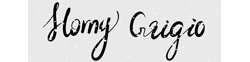 Homy Grigio logo