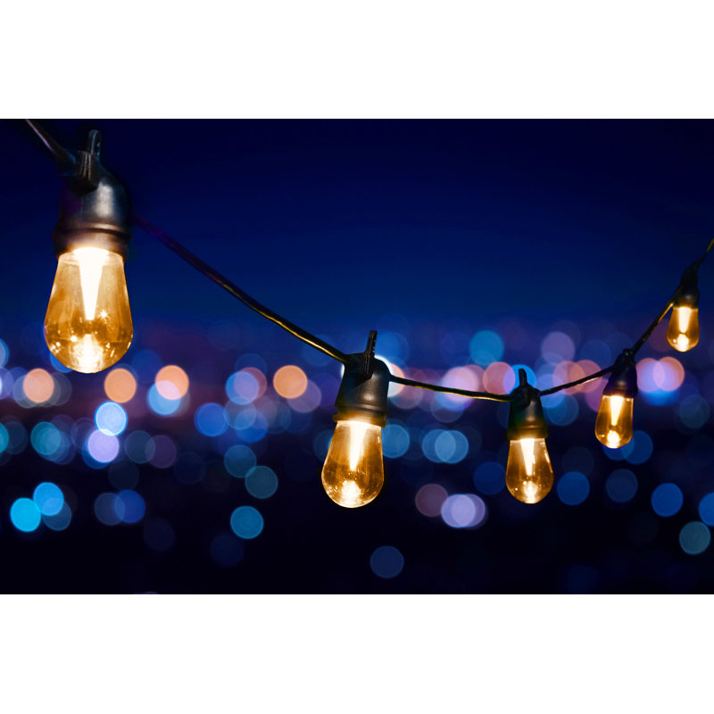 Holiday Cafe' Light - 14 Holiday Light Sequences – 12 Shatter Proof Lights – 24 ft long