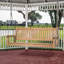 Teak Porch Swing Only