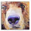 Art mural en verre acrylique épique «Sniffer» par Pat Saunders-White, 12 po x 12 po