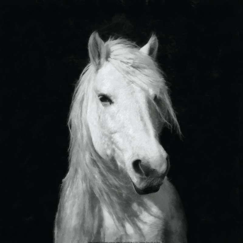 Portrait de cheval blanc - impression, H 36 po x l 36 po
