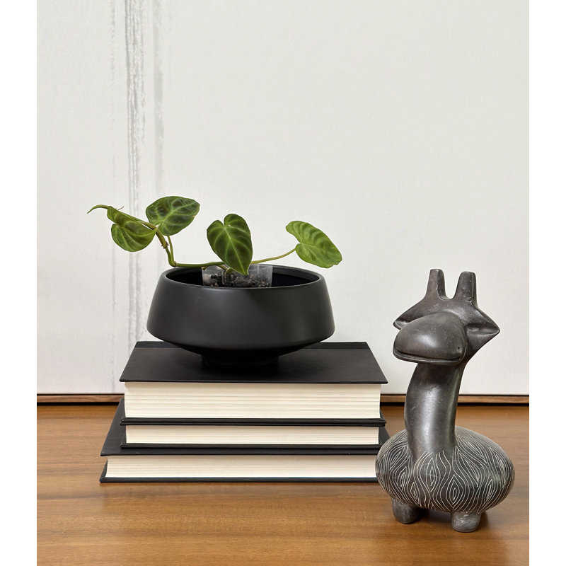 Black Ceramic Indoor Succulent Planters Set of Two