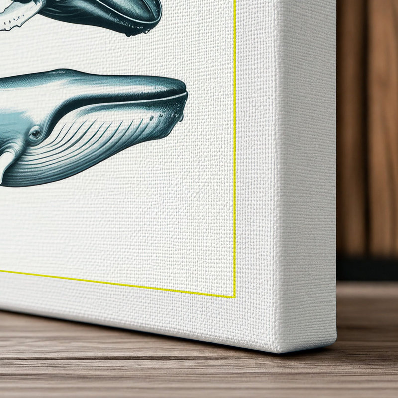 Print, 36x24 - 91.4 x 61.0 cm, White Border