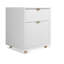 Dang 2 - Drawer Vertical Filing Cabinet-10753340