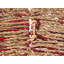 NEIGE Bamboo Slat / Seagrass Tree Collar