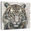 Brampt Tiger Presence
