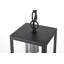 Luminaire suspendu d'extérieur noir 13 po Allson