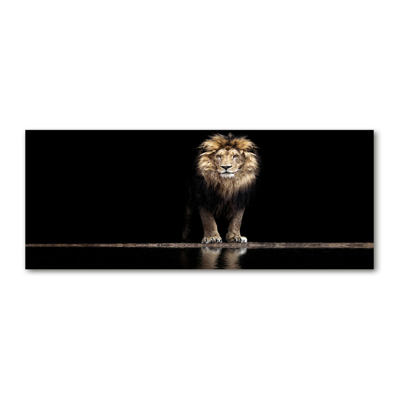 Portrait Of A Lion - No Frame Print on Canvas