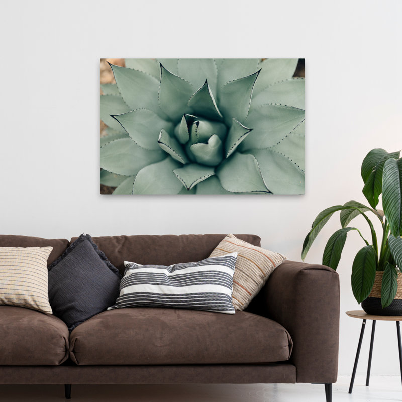 Plantes, fleurs, paysage, nature, somptueux art mural, H 32 po x l 48 po