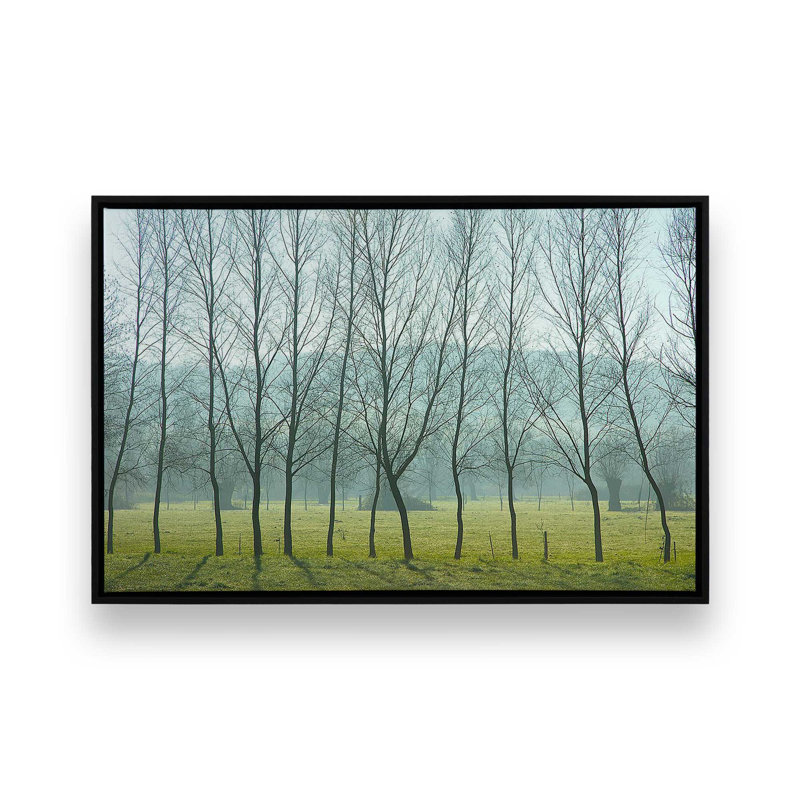 «Misty Normandy Meadow» sur toile par Caroyl La Barge, Cadre flottant noir satiné, H 22 po x l 32 po x P 1,75 po