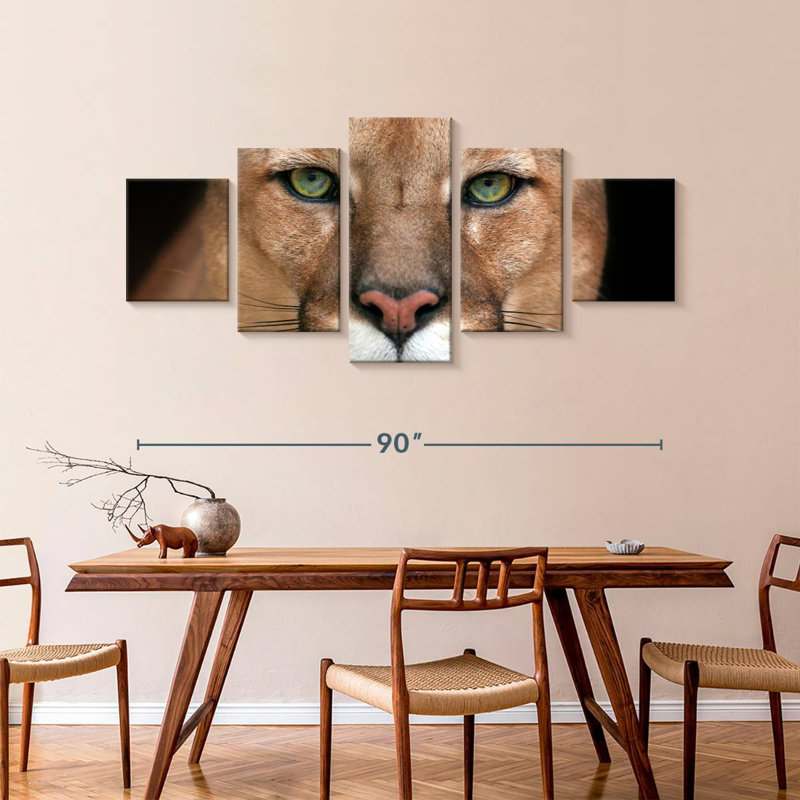 Staring Puma