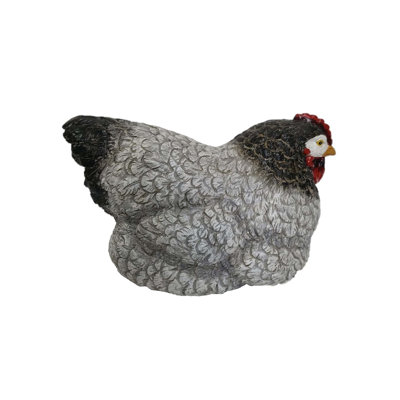 Poulet couché du Sussex