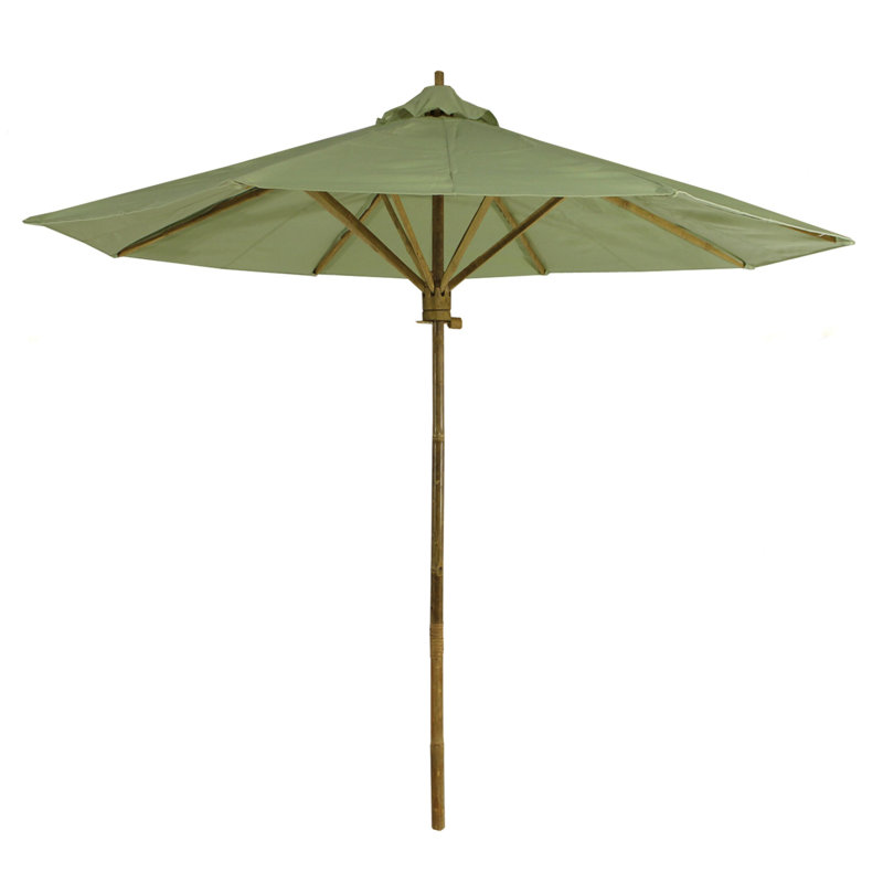 Parasol 7 pi Esai, Céladon