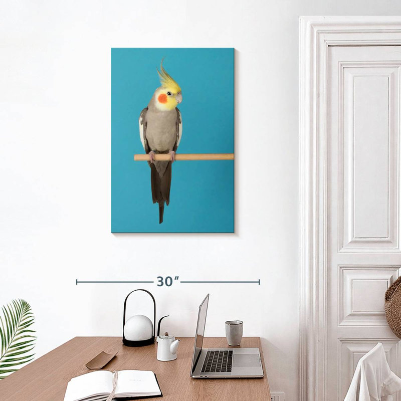 Cockatiel Brampt sur bleu, H 30 po x l 20 po