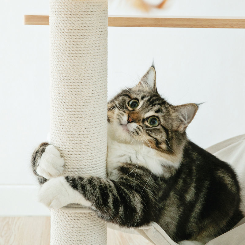 Arbre à chat 64 po Chabeli, Beige