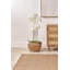 115cm Faux Plant in Cement Pot Liner