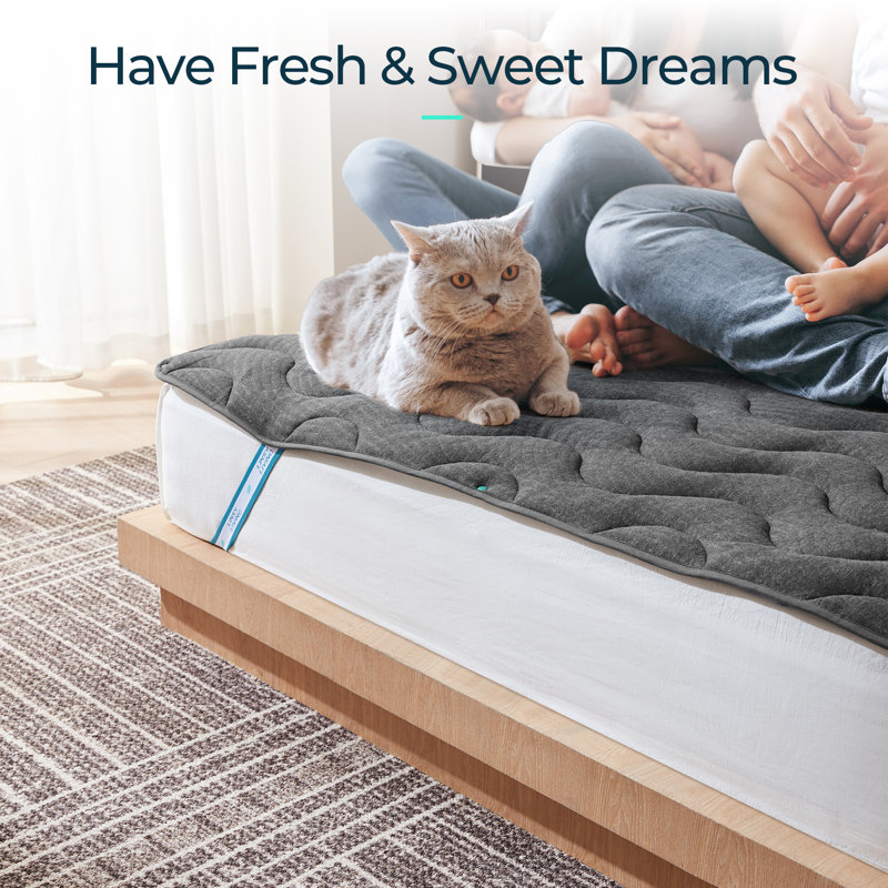 Tencel Waterproof Mattress Protector With Elastic Straps, Full