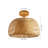Flush Mount Ceiling Light