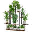 Plant Stand - Set of 9
