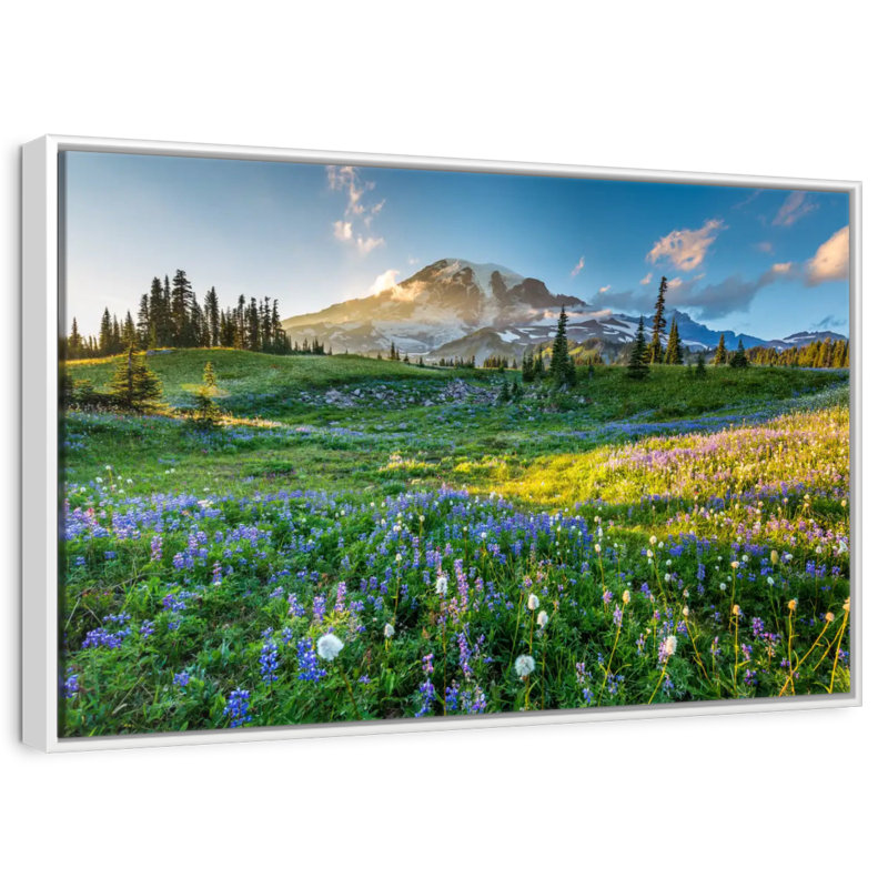 Le printemps au mont Rainier, 19 po x 13 po, Cadre flottant blanc