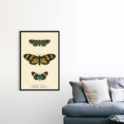 Papillons par English School - reproduction sur toile