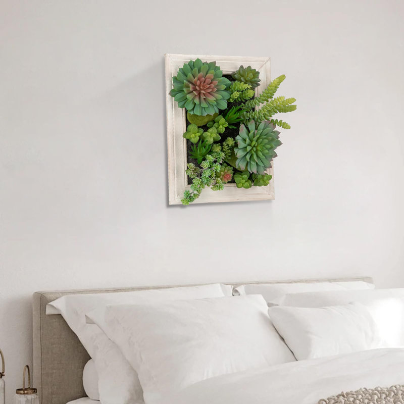 Décoration 3D de plantes succulentes murales simulées