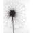 Dandelion - Bedroom Botanical Framed Canvas for Home Decor