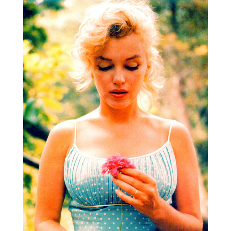 Fleur de Marilyn HOT-1994-16x20
